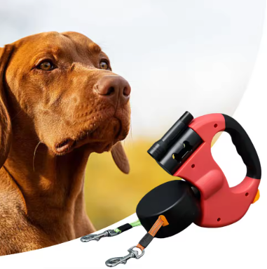 LuxeGlow Leash